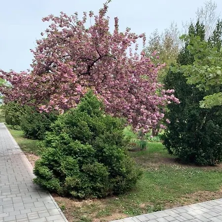 Lia Apartman * Balatonfured