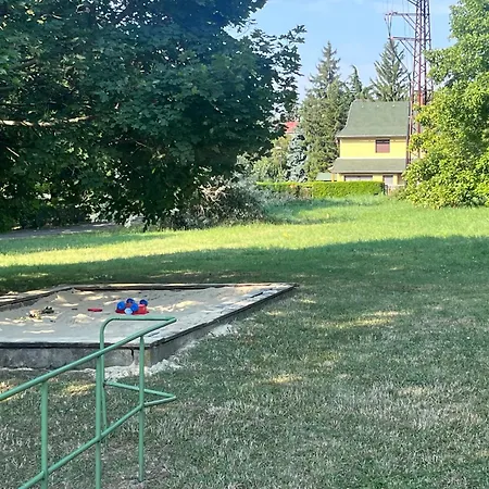 Lia 巴拉顿菲赖德